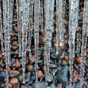 Meet your Posher, Patti